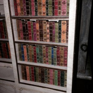 finished dollhouse books in bookcase